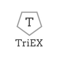 Triex logo - Similar company to Triex-Ev