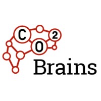 CO2Brains logo - Similar company to Seluxit By Wirtek