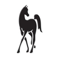 Arabian Horse World
