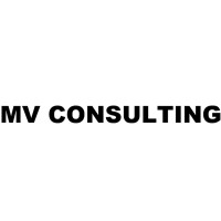 MV Consulting logo - Similar company to Les Arts Vivants