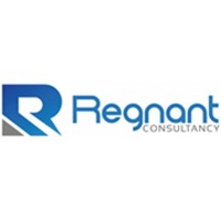 Regnant Accountants And Tax Consultants LLC logo - Similar company to A H Accounting And Tax Services