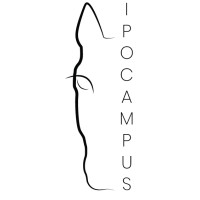 Ipocampus logo - Similar company to Homexperts.Lu