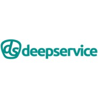 Deepservice Consulting logo - Similar company to Educaopen