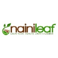 Nainileaf logo - Similar company to Digi Ocean Pvt. Ltd.