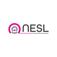 Non Entry Systems Ltd logo - Similar company to Eps Construction Ltd