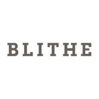 Value Creation Service [Blithe] logo - Similar company to 플라네