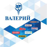 Valerii S&M Group JSC logo - Similar company to Blachdeker Forklifts