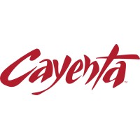 Cayenta logo - Similar company to Cogsdale Corporation
