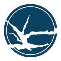 Driftwood Group