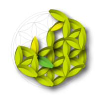 Fair Capital Partners logo - Similar company to Dsp-Systems