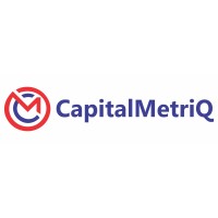 CapitalMetriQ Swift Bank logo - Similar company to Safe Haven Mfb