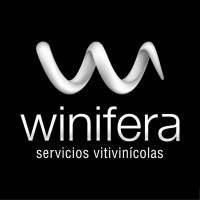 Winifera logo - Similar company to Perception Candy