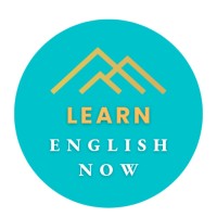 Learn English Now, Inc logo - Similar company to Karura Us
