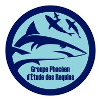 Groupe Phocéen d'Etude des Requins (GPER) logo - Similar company to Institut National Des Sciences Et Technologies De La Mer I.N.S.T.M