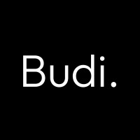 Itsbybudi logo - Similar company to Dsd Solutions