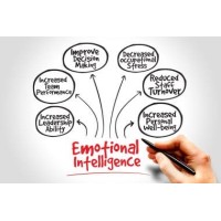 EMOTE – The Emotional Intelligence Consultancy logo - Similar company to Orion Global Technologies
