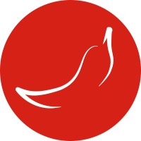 roquito tech logo - Similar company to Techcare