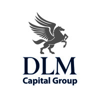 DLM Capital Group logo - Similar company to Ava Capital Group