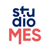 Studio MES logo - Similar company to Data Wise Consultancy