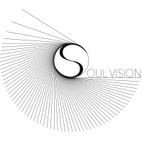 SOUL VISION UG logo - Similar company to Devhq Gmbh