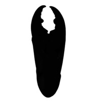 Mr Pinchy & Co logo - Similar company to Dvt Projects