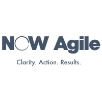 NOW Agile Ltd logo - Similar company to Cev Technologies D.O.O.