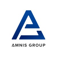 Amnis Group logo - Similar company to Dangerous Goods Management Ltd