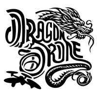 DragonDrone logo - Similar company to Drone Indoor