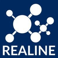 Realine Technology logo - Similar company to Britelite