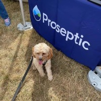 Proseptic Ltd logo - Similar company to Laservision