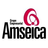 AMSEICA logo - Similar company to Wams