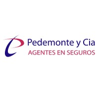 Pedemonte y Cia logo - Similar company to Primero Systems