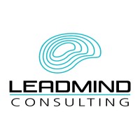 LeadMind Consulting logo - Similar company to Genius Group Adtech