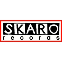 SKARO Germany logo - Similar company to Builders Academy