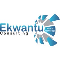 Ekwantu Consulting logo - Similar company to T