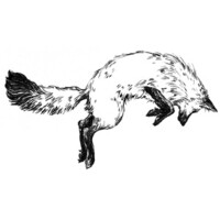 Fox in the Snow Cafes logo - Similar company to Winans Coffee & Chocolate