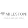 MILESTONI logo - Similar company to Monkey Effects
