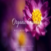 Fitness De Royale Organic County logo - Similar company to Men Shoe Factory
