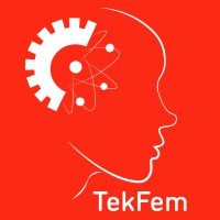 TekFem logo - Similar company to Femtek