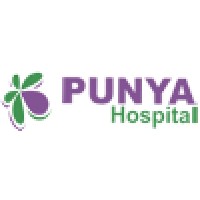 Punya Hospital India Pvt Ltd logo - Similar company to Cloud Nine Hospital