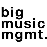 Big Music MGMT logo - Similar company to Tigerspring