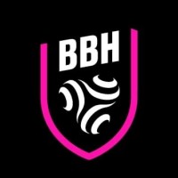 Brest Bretagne Handball logo - Similar company to Sélection Autostore