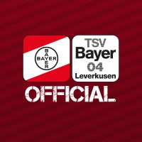 TSV Bayer 04 Leverkusen logo - Similar company to Deckenhoch®