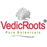 VedicRoots logo - Similar company to Vedikroots