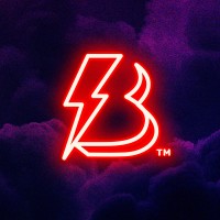 Battle Born + Co logo - Similar company to Sinoev Technologies