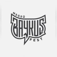 BaykuşFest logo - Similar company to Individual Academy