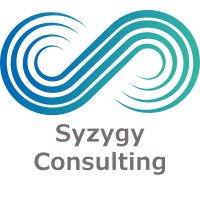 Syzygy Consulting logo - Similar company to Evlab®