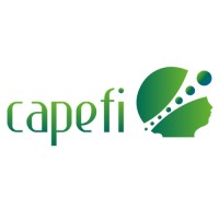 CAPEFI, Centro de Investigación y Consultoría Empresarial logo - Similar company to Courage Strategies Consulting