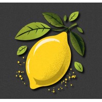 Lemoncore logo - Similar company to Elevraa
