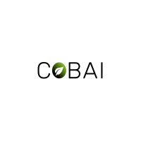 COBAI logo - Similar company to Svcatv